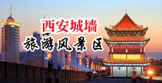 抽插进去免费观看中国陕西-西安城墙旅游风景区